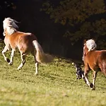 Farmház Schirfhof *