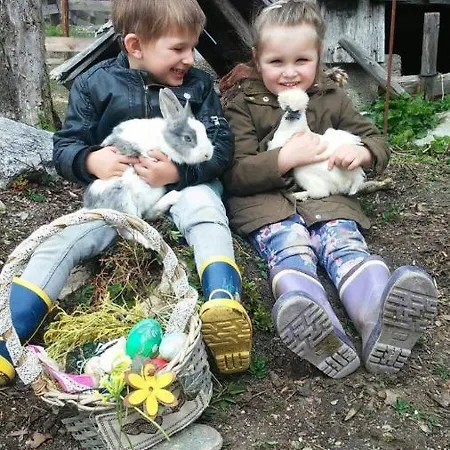 Farm stay Schirfhof