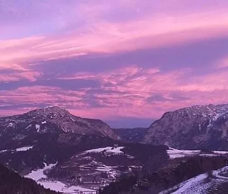 Schirfhof * Michaelerberg