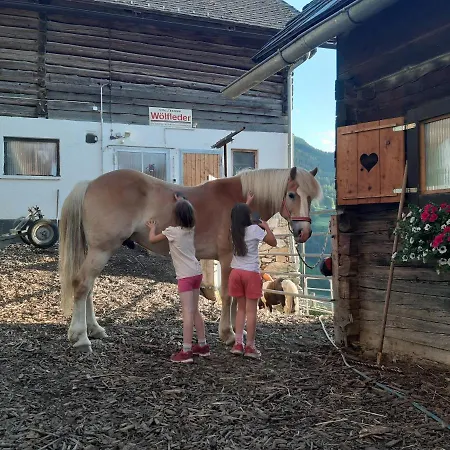 Schirfhof 팜스테이 *