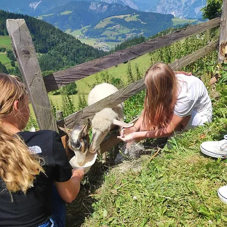 Schirfhof Alloggio per agriturismo