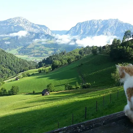 팜스테이 Schirfhof