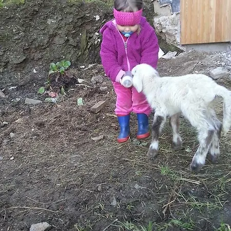 Farm stay Schirfhof *