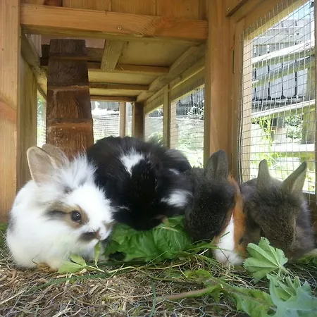 Farm stay Schirfhof *