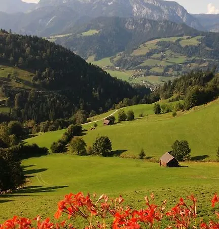 Schirfhof * Michaelerberg