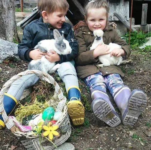 Vakantieboerderij Schirfhof