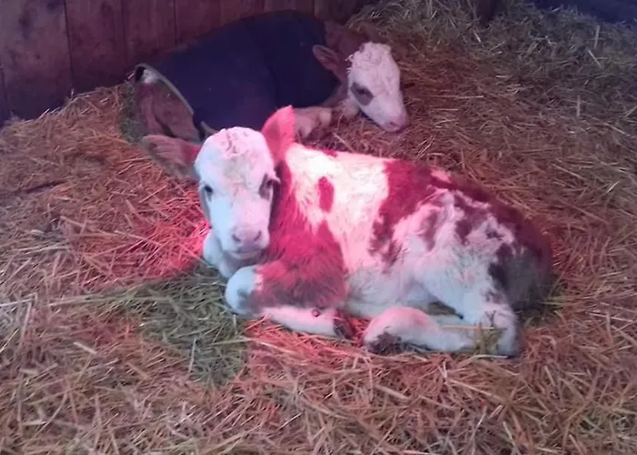 斯瑞富农家乐 农家乐