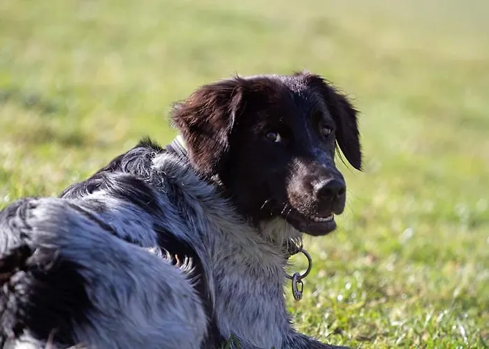 Schirfhof * Michaelerberg