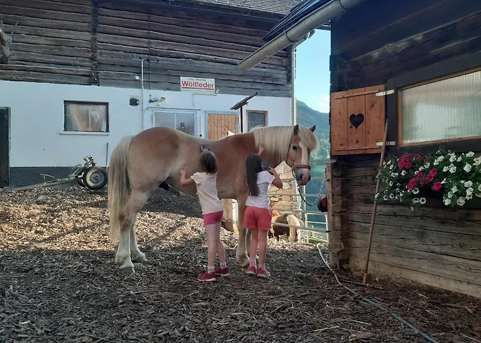 Schirfhof Vakantieboerderij *