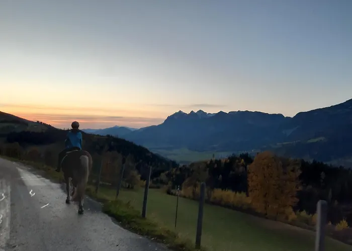 Schirfhof Michaelerberg