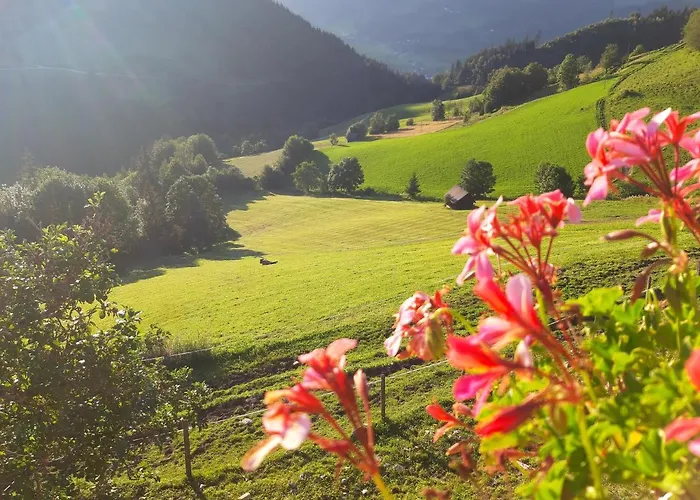 农家乐 斯瑞富农家乐