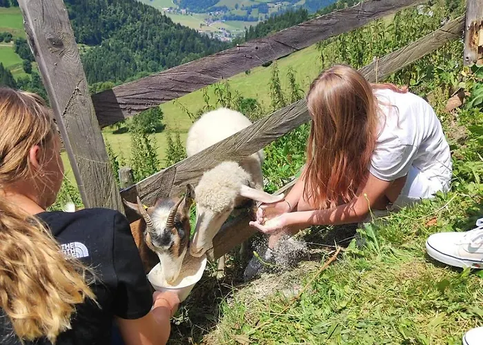 Schirfhof Agroturismo