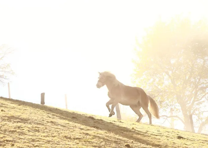 Schirfhof Agroturismo