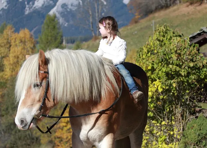 Schirfhof Vakantieboerderij *