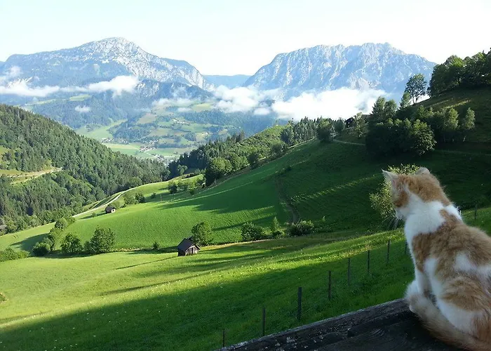 Agroturismo Schirfhof