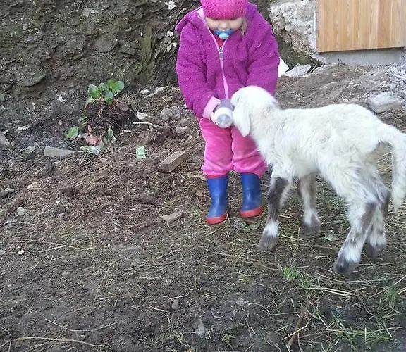 Vakantieboerderij Schirfhof *