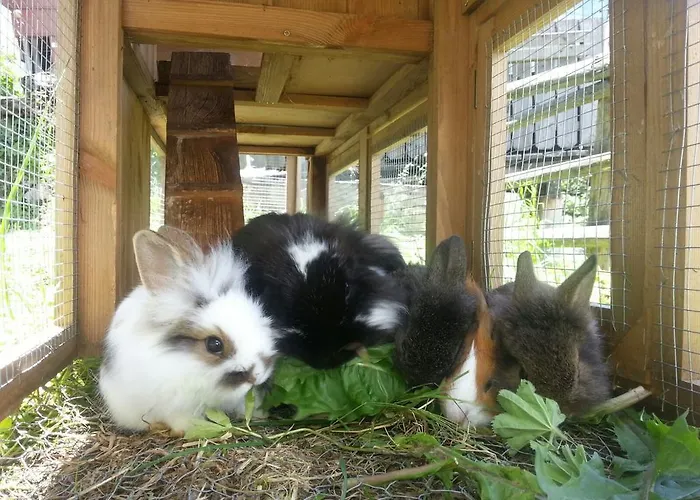 Alojamento de Turismo Rural Schirfhof *