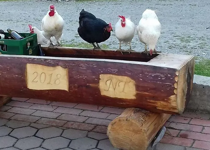 Schirfhof Michaelerberg